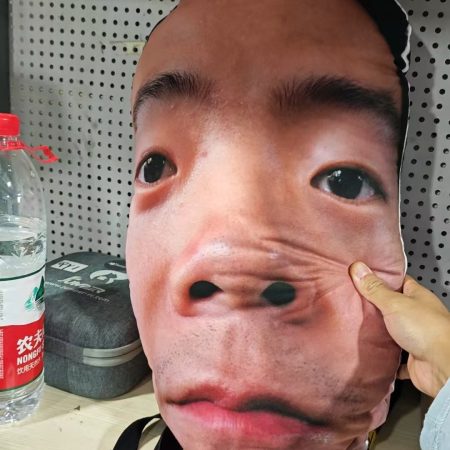 🐟🐟抱枕